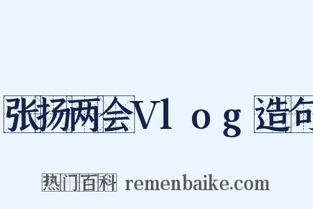张扬两会Vlog造句是什么意思的图片